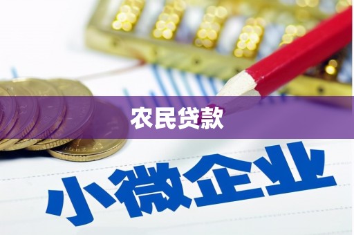 道滘农民贷款