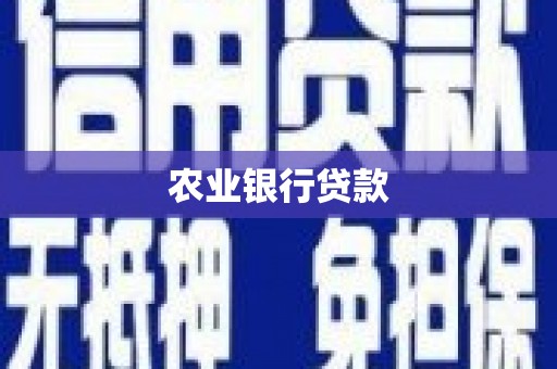道滘农业银行贷款