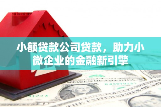 道滘小额贷款公司贷款，助力小微企业的金融新引擎