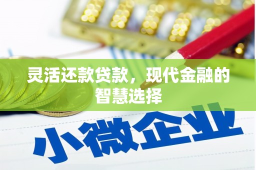 道滘灵活还款贷款，现代金融的智慧选择