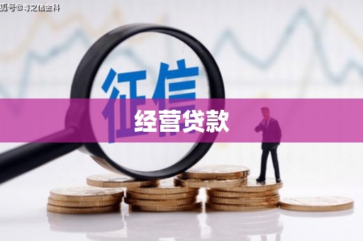 道滘经营贷款