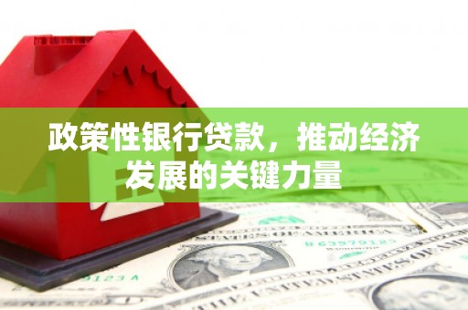 道滘政策性银行贷款，推动经济发展的关键力量