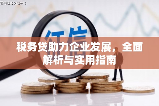道滘税务贷助力企业发展，全面解析与实用指南