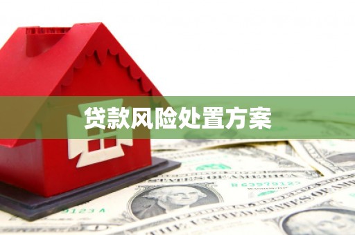 道滘贷款风险处置方案