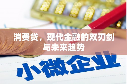 道滘消费贷，现代金融的双刃剑与未来趋势